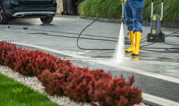 Professional Pressure Washing Services in Del Norte, CO